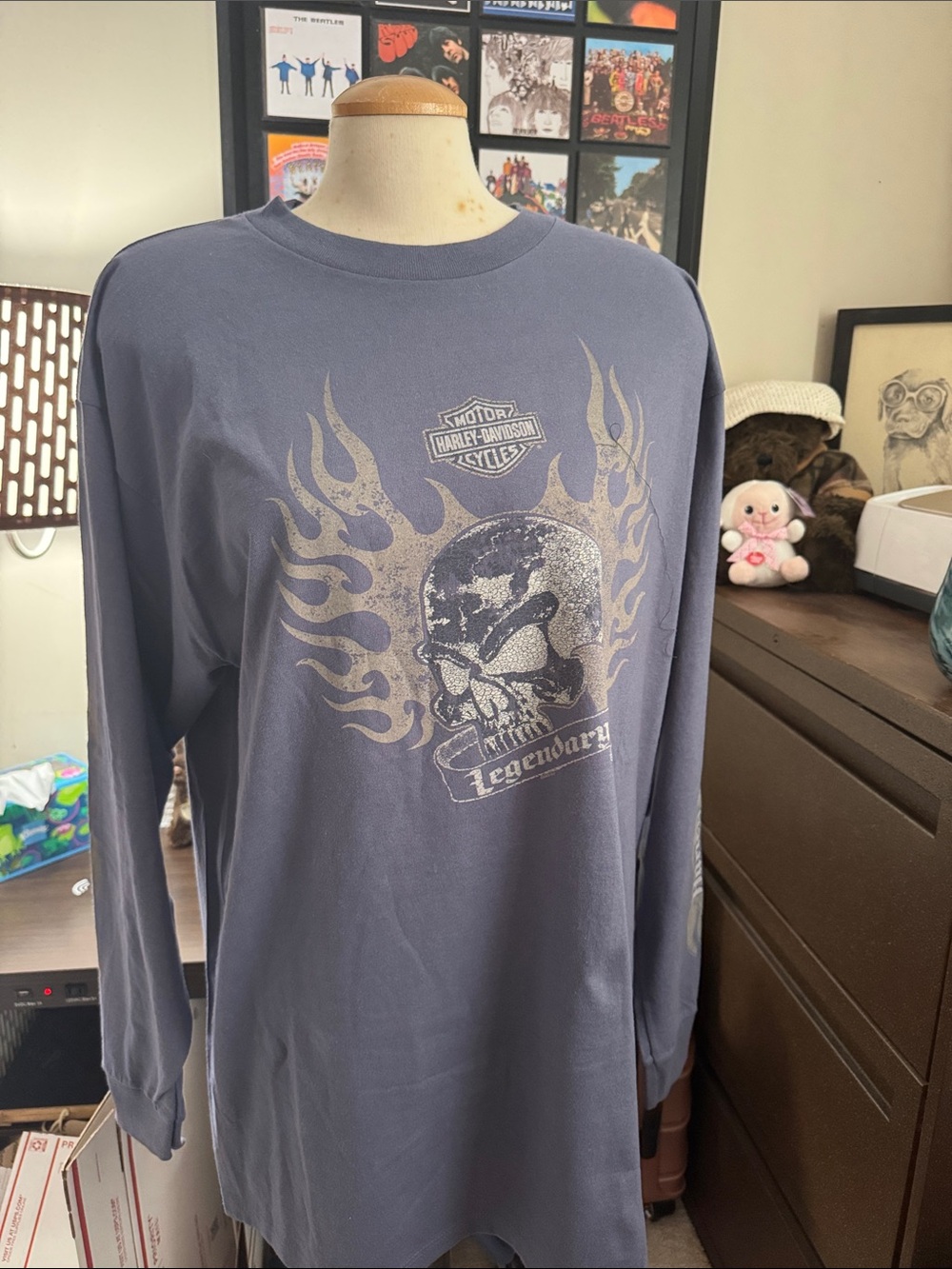 Harley-Davidson Slate Blue Long-Sleeve Skull Graphic Shirt